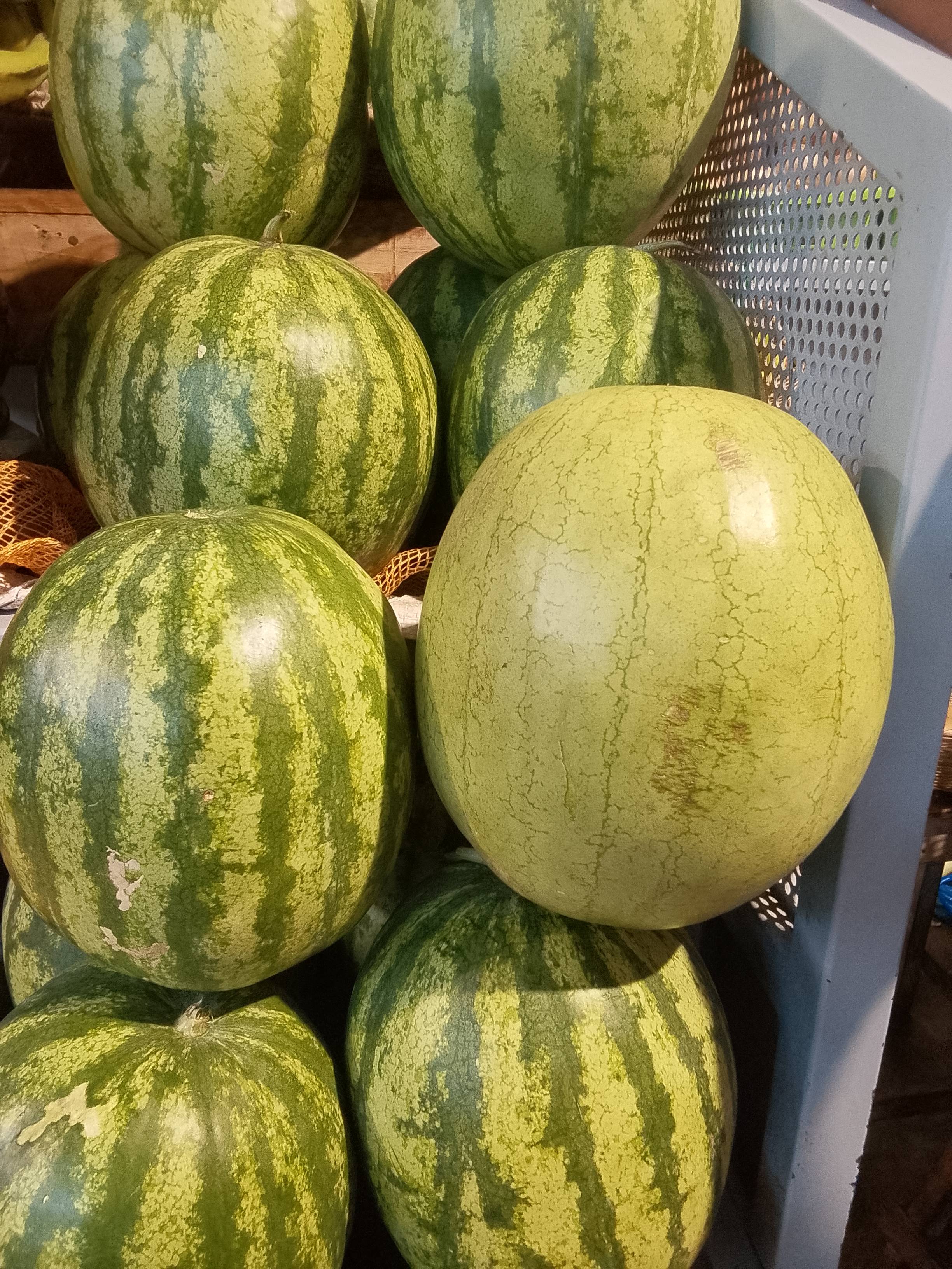 Pasteques fraîche et bien juteuses