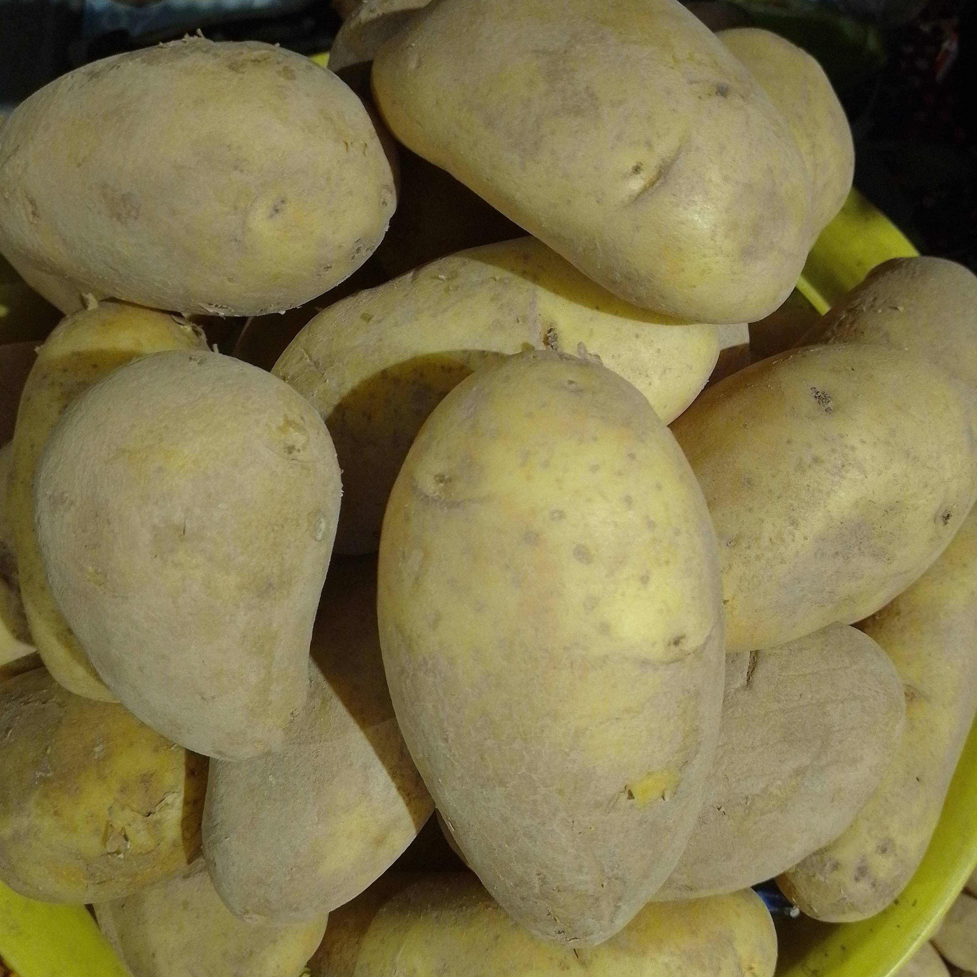 Pomme de terre