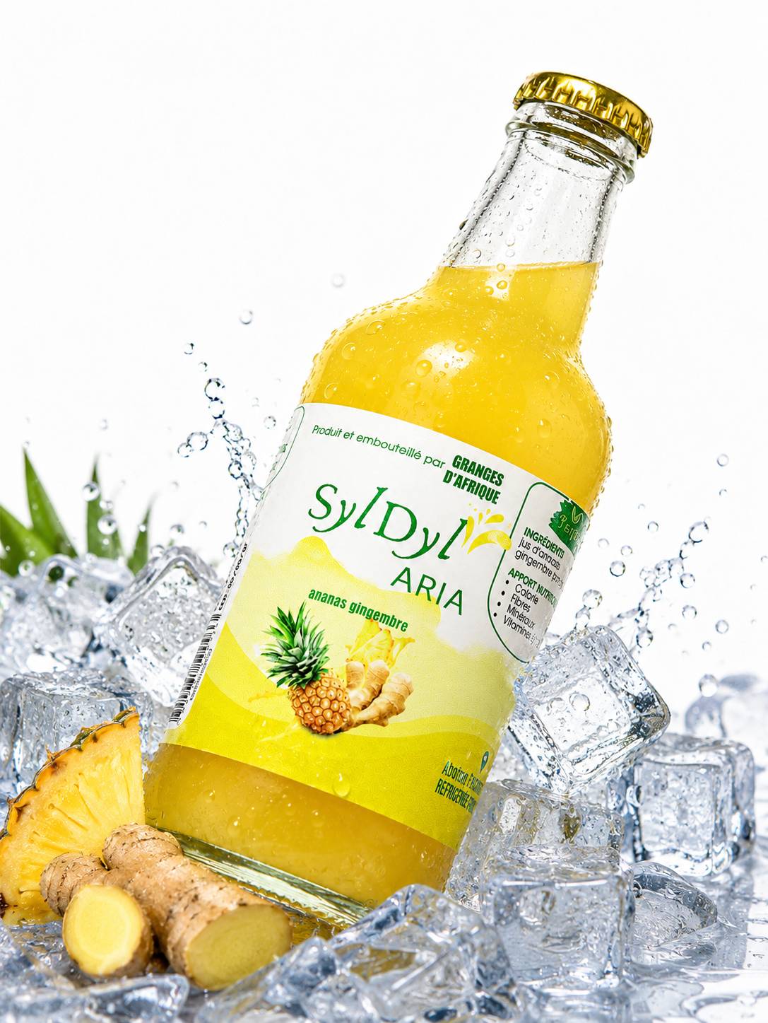 Jus Ananas-Gingembre (SylDyl Aria)