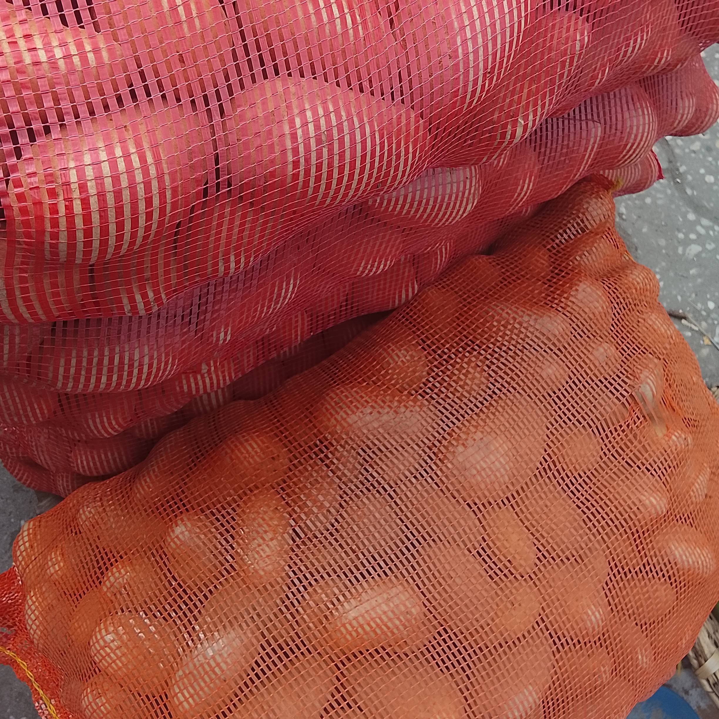 Pommes de terre 