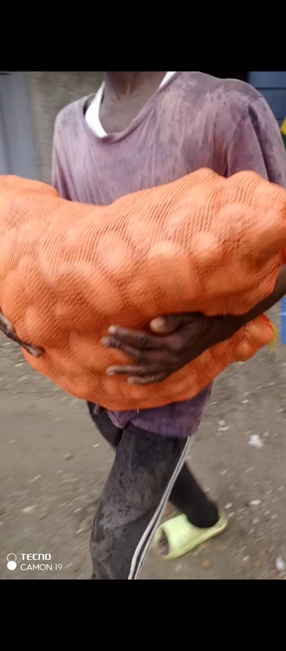 Pomme de terre