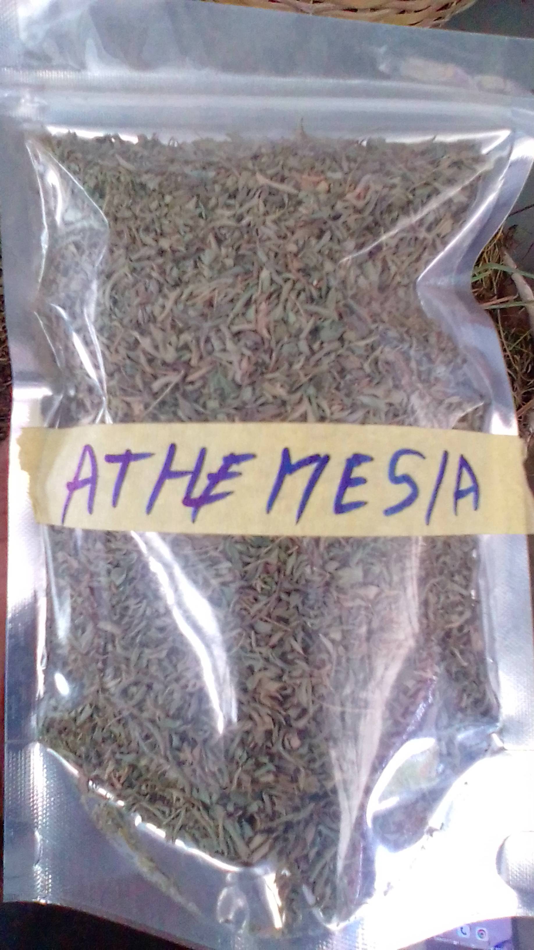 ATHEMESIA