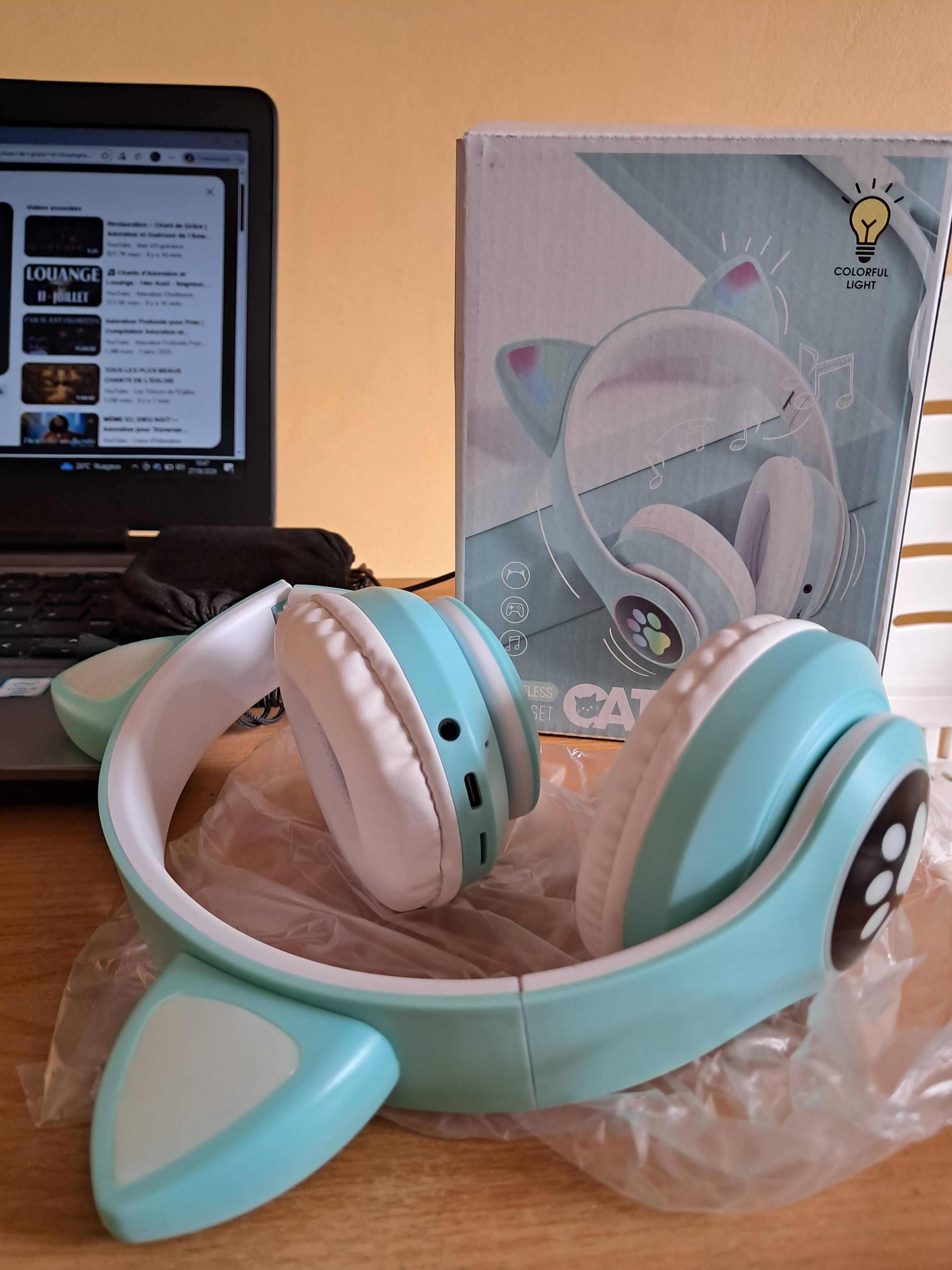 Casque à oreille 