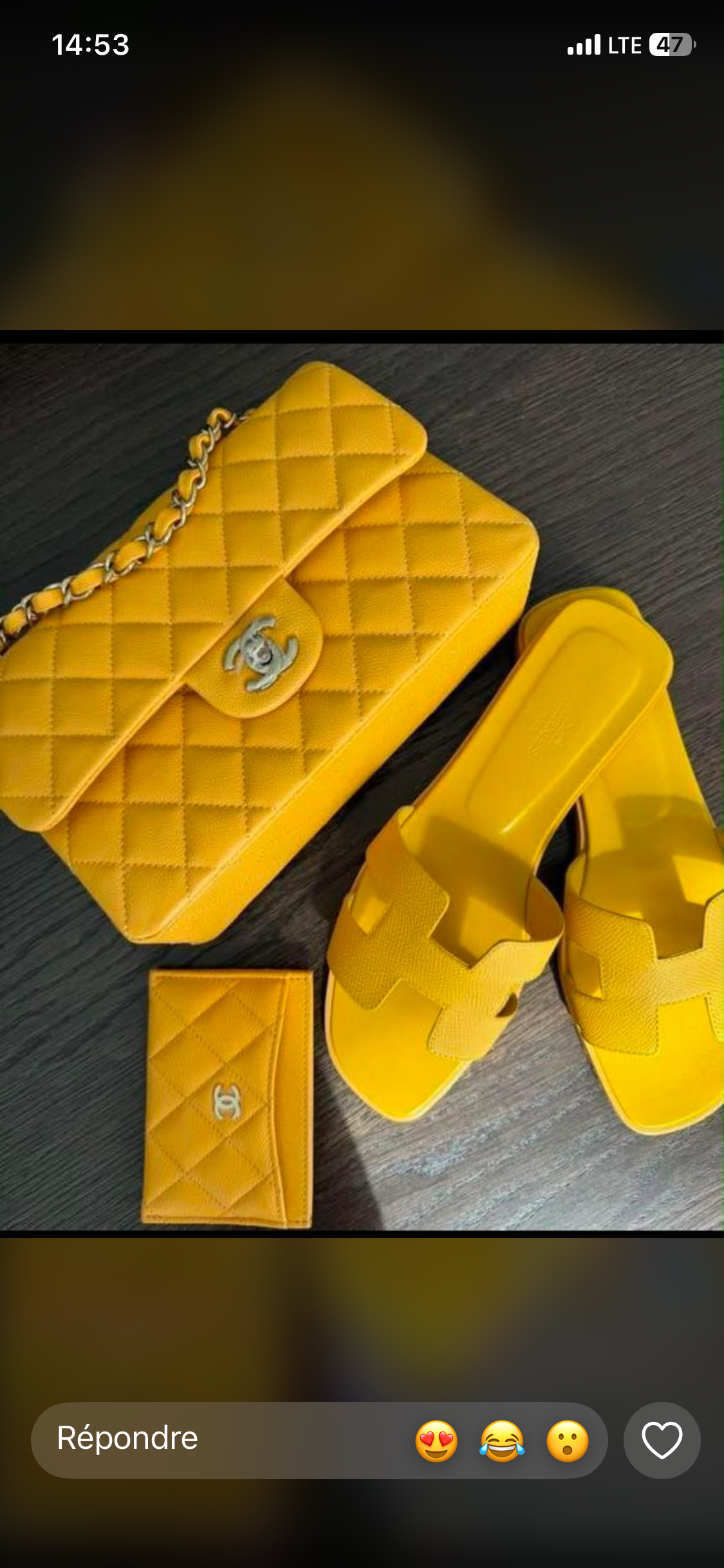 Sac Chanel et chaussures hermès