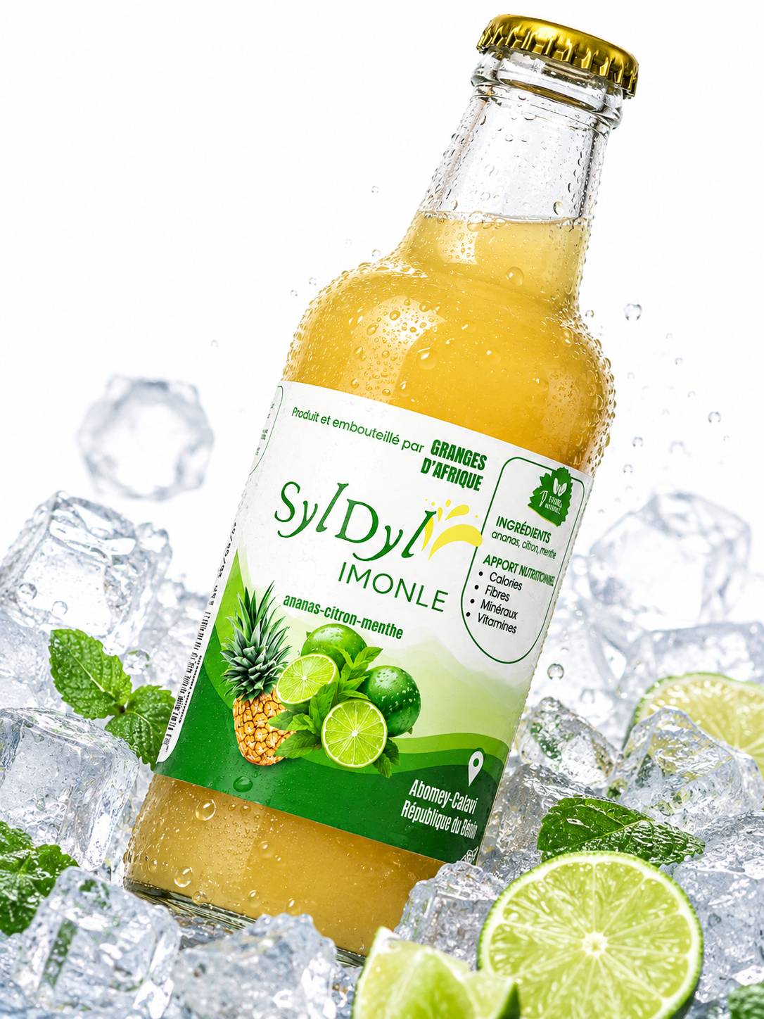 Jus Ananas-Citron-Menthe (SylDyl Imonlè)